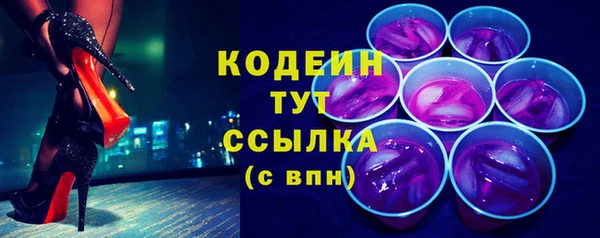прущие крисы Каменка