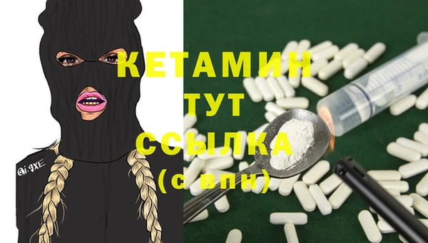 прущие крисы Каменка