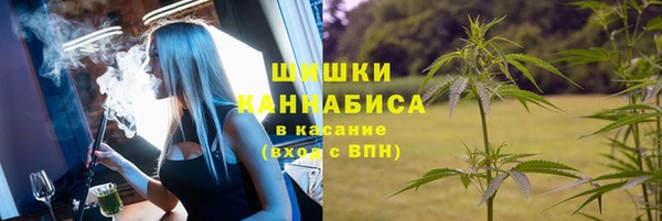 мет Инта