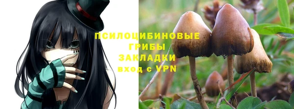 а пвп мука Иннополис