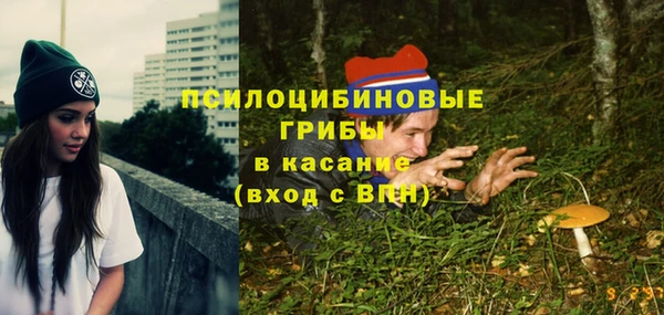 мдма Каменногорск