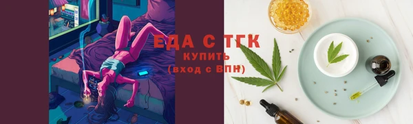 мет Инта